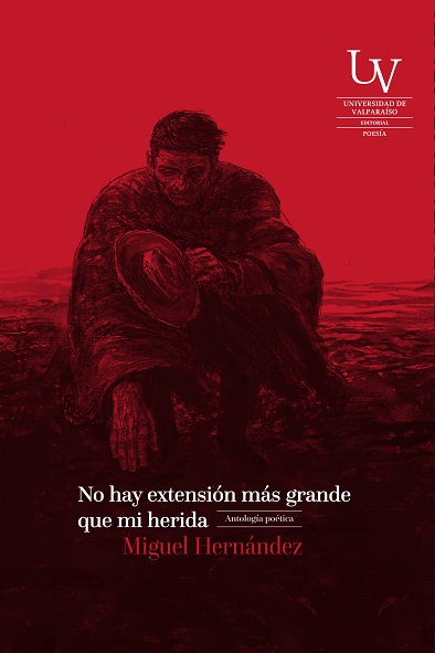 No hay extensión más grande que mi herida