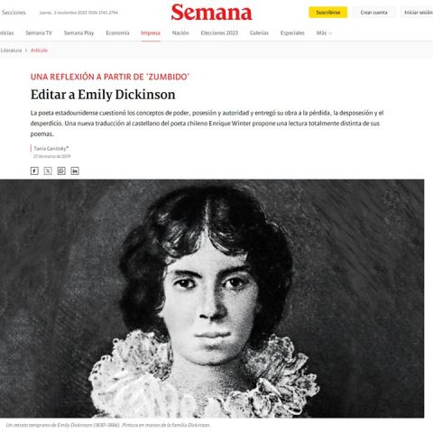 UNA REFLEXIÓN A PARTIR DE 'ZUMBIDO'. Editar a Emily Dickinson