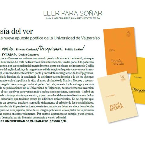Poesía del ver